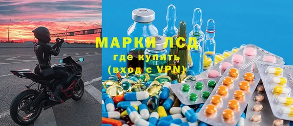 стафф Елизово