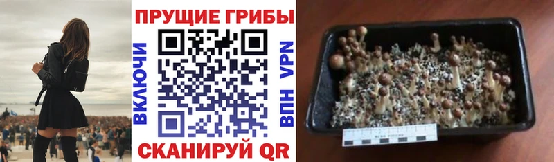Галлюциногенные грибы Magic Shrooms  Кушва 